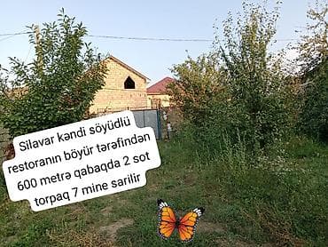 2 sot