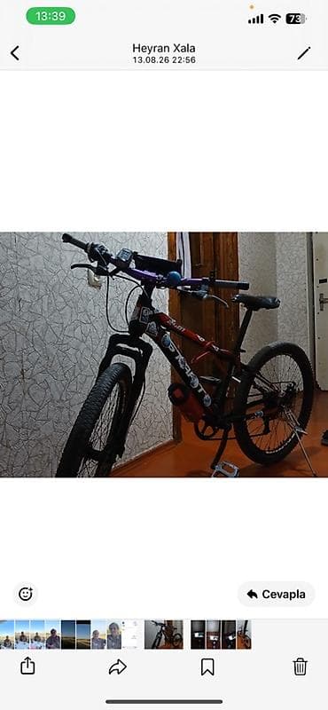 wolf velosiped: Dağ velosipedi – Sport 2401 (qara/qırmızı) Xüsusiyyətlər: - Çərçivə — 4