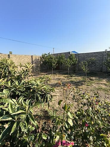 hasar setka: 12 sot torpaq Qala Şüvəlan yolun üzərində Məhsul: Həyət/bağ sahəsi — 5