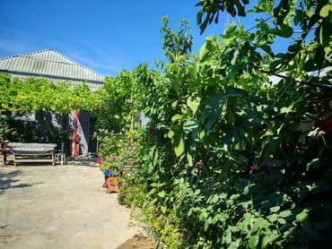 Yelləncəklər: Hövsan Zeytun qesebesi Beton yoluna 5deqiqelik məsafə.Binə və — 16