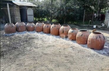 규 카츠 맛집【KaKaotalk:Za31】모든 요구 사항 충족,서울출장안마,서울에스플러스,서울출장업소,서울홍등가,서울콜걸: Təndir satisi ve sifarisi ʙəᴢɪ Alver"çɪʟəʀə ᴀɪᴅᴅɪʀ !!! - şəᴋɪʟʟəʀɪᴍɪ — 6