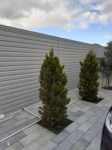 hörgü işləri: Fasad uzlukler Amerikan sidding fasad Sifariş Qəbul olunur ! ! ! ! — 6