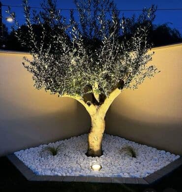 ağ dırnaq modelleri: Landşaft dizayin ummi abadliq qazon agaclar gul ciceklerlə bağlarin — 19