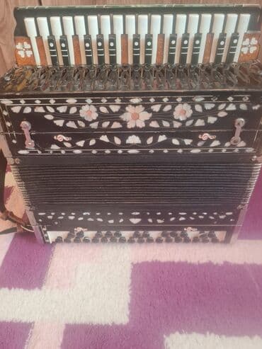 akkardion: Akustik Akkordeon — 1