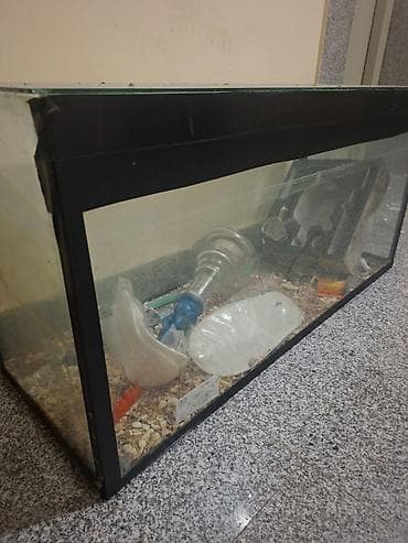 baliqlar: Akvarium şüşə tank satilir. Isteyen elaqe saxlasin. Unvan Baki. - — 4