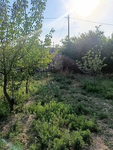 gencede ev: Sabunçu r-nu, Maştağa qəsəbəsində, 186N marşrutun yolundan 50–60 m — 5