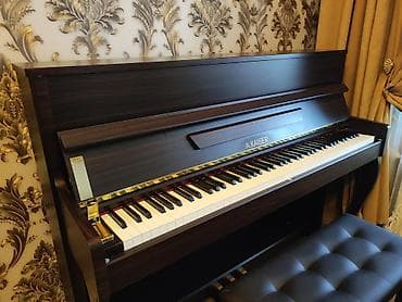 gitara balaca: Piano, Akustik — 3