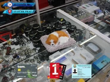 Dekorativ it bundan başqa hər növ avtomobi̇l aksessuarlarinin topdan