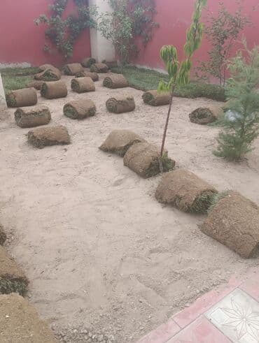 Abadliq isleri qazon torf agaclar gul cicey bağlarda umumi abadliq