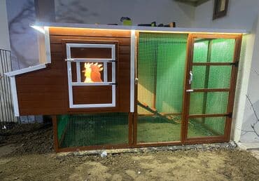 quş yuvası: Tuyuq yuvası Hin sifarişlə hazırlanması istənilən ölçüdə tam — 14