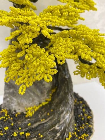 bonsai ağacı haqqında məlumat: Fiqur, Gips, rəng - Sarı — 2