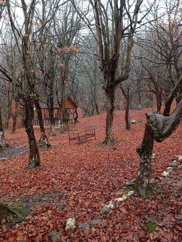 kirayə aylıq: 3000 kv. m, 3 otaqlı — 26