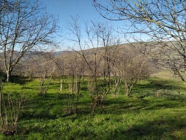 kirayə evlər 2025 sumqayıt: 100 sot, Biznes üçün, Mülkiyyətçi, Müqavilə — 2