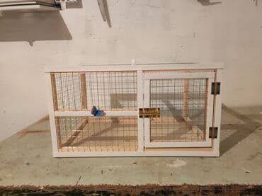 вольеры для маленьких собак: Dovşan,hamster,şinşila,bildirçin,cücə,xamyak,pişik,quş ve s kimi ev — 1
