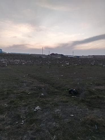 alisa qiymeti: 34 sot, Kənd təsərrüfatı, Kupça (Çıxarış) — 2