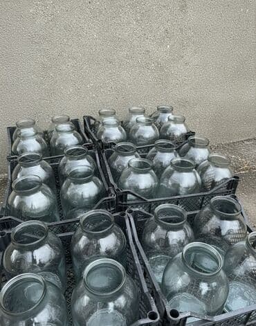 təbii dibçək gülləri: 🫙 3 LİTRLİK ŞÜŞƏ BANKALAR – EVDƏN SATIŞ 🫙say coxdur 1 ədədi 0,40 azn — 3