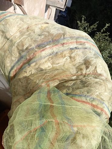 Dəsmallar: Təbii qoyun yunu 10 kq 1 kq 2.40 qəpik - Rəngi: krem-bej — 2