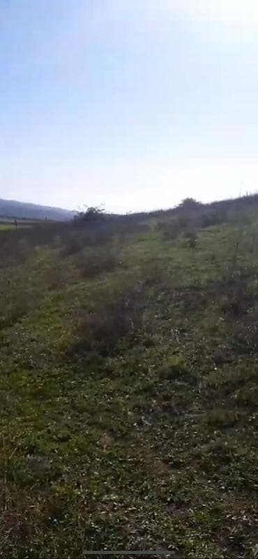 samaxi: 10 sot, Tikinti — 4