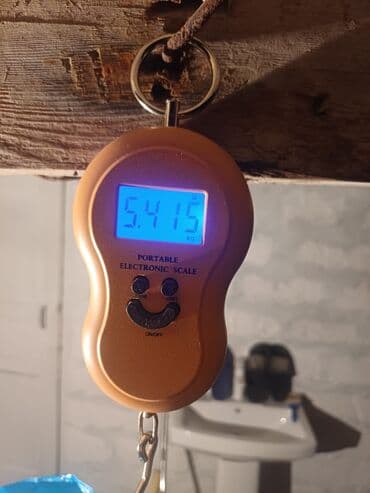 Гуси: Самец, Для разведения, Платная доставка — 5