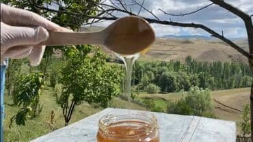 семена чиа баку: Astaranın cicək balı — 5