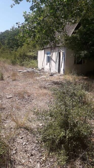 digah torpaq: 25 sot, Kənd təsərrüfatı, Makler, Kupça (Çıxarış) — 4