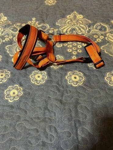 enzo шампунь отзывы: İt aksesuarları dəsti, tek tek qiymetler qeyd edilib endirim yoxdur — 7