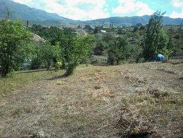 аренда продажа земельных участков: 12 sot, Tikinti, Mülkiyyətçi, Kupça (Çıxarış) — 5