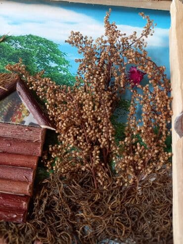 qazon ot: Rəsm əl işidir təbii ot və ağac materialı yağlı boya ilə çəkilib ölçü — 2