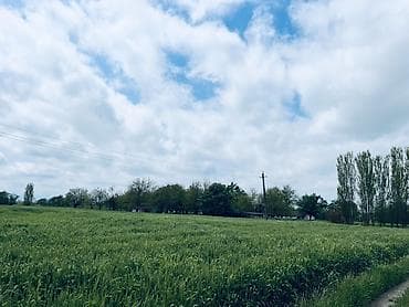 sumqayıt ev alqı satqısı 2018: Для сельского хозяйства, Купчая — 7