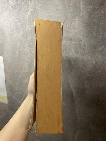 Тесты: Продаю книги: Стивен Кинг мешок с костями и Чак паланик бойцовский — 2