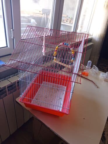 qəfəslər: Qəfəs – xırda quşlar üçün - Material: möhkəm metal barmaqlıqlar — 1