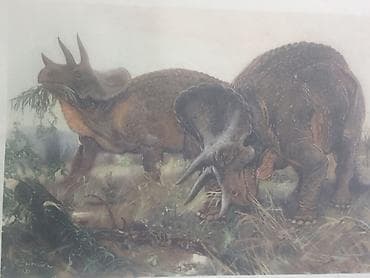 cipsi sekilleri: Məhsul: Dinozavr mövzusunda vintage illüstrasiya çapları dəsti — 6