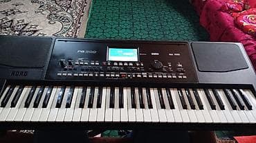 ikinci el çadır: Sintezator, Korg, Yeni — 2