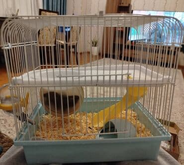 Akvariumlar: Xomyak+qefes — 3