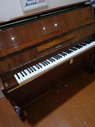 elektro akustik gitara: Şəki şəhərində təcili olaraq qəhvəyi rəngli, əyməayaq "Suita" pianosu — 3