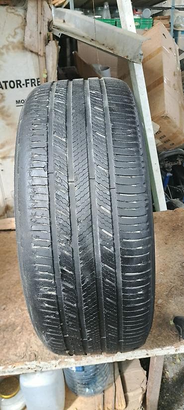 Şin Michelin 225 / 55 / R 17