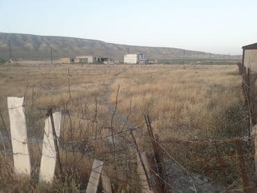 xacmaz torpaq: 42 sot, Kənd təsərrüfatı — 6