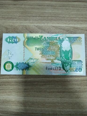 Kabrolar: Kolleksiya üçün müxtəlif ölkələrin orijinal kağız pulları dəsti — 3