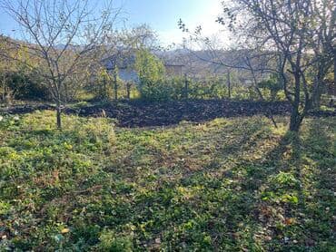 qubada torpaq satilir 2020: 10 sot, Mülkiyyətçi, Kupça (Çıxarış) — 8