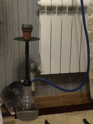 xonça şəkili: Qəlyan (nargilə) komplekti - Şüşə kolba: şəffaf, geniş dibli — 2