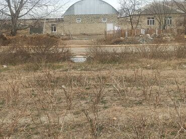 аренда дачи в баку: 8 соток, Для строительства, Собственник, Купчая — 4