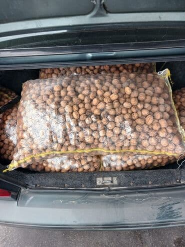 Məhsul: Qabıqlı qoz (tam meyvə) Ukraniya Qozu Qabıqı yumşaq Topdan — 2