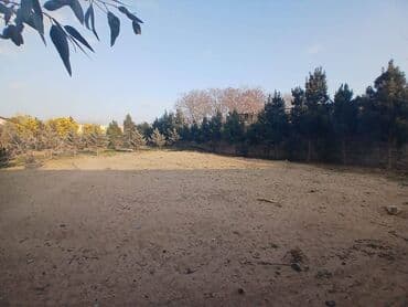 15 sot, Tikinti, Makler, Kupça (Çıxarış) lalafo.az -da 15 sot, Tikinti, Makler, Kupça (Çıxarış)