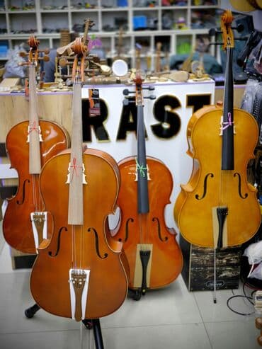skripkalar: Violonçello Rast musiqi alətləri mağazalar şəbəkəsi 3 ünvanda — 1