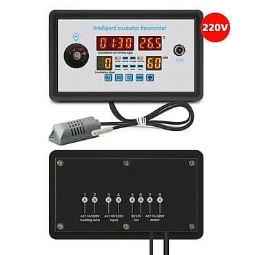 Reklam lövhələri: Ağıllı İnkişafetmə (inkubator) Termostatı – DC12V, 220V girişli — 3