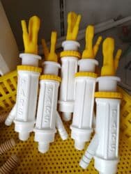 Akvariumlar: Toyuq avtosuluk üçün — 1