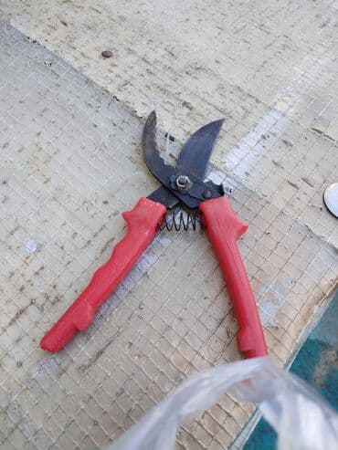 qolf meydançasında qətl: Ovçuluq və balıqçılıq — 1