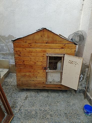 Quşxana satılır 5/10 taxta skletin iç və üst tərəfləri təzə pol