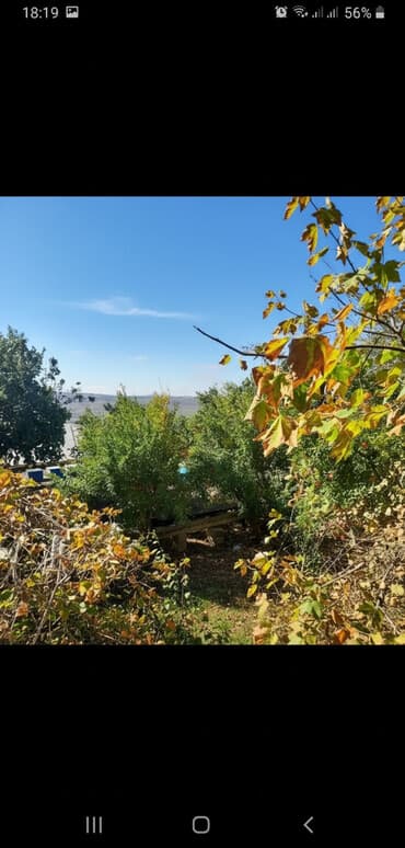 sirvanda kiraye evler 2019: 5 otaqlı, 180 kv. m, Orta təmir — 2