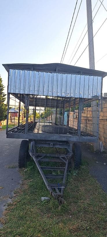 qoşqu laped: Salam qoşqu satilir sirf zövqə yiğilib köhnenin rusun demirleri ve — 6